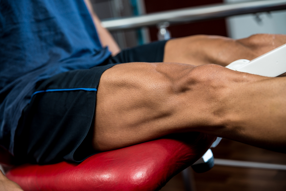 ¿El entrenamiento solo concéntrico y solo excéntrico causa crecimiento en diferentes partes de un músculo?